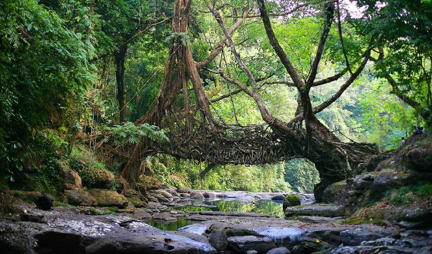 MEGHALAYA