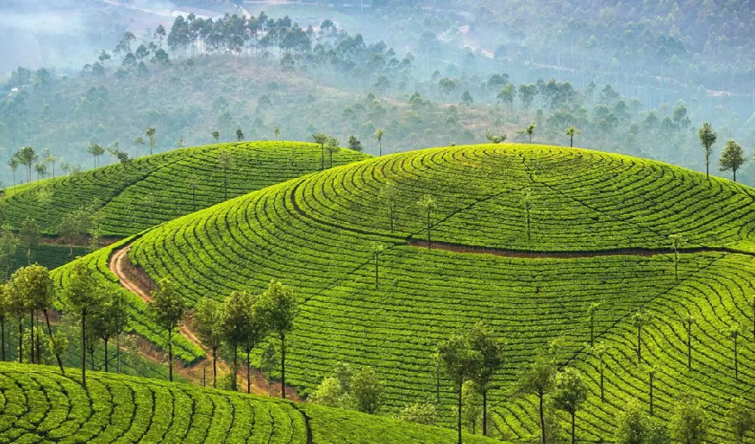 Weekend Ride – Munnar